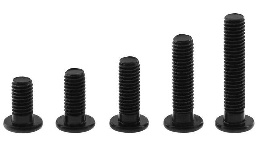 10Pcs/Lot M5 Ultra Low Profile Bolts 6mm - Angle & Perspective